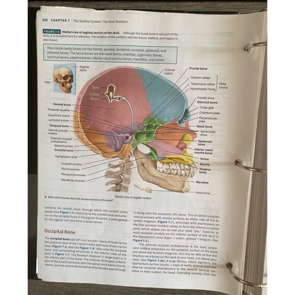 Anatomy & Physiology Vol 1 Gerard J Tortora, Bryan H Derrickson 2021 - Picture 3 of 5